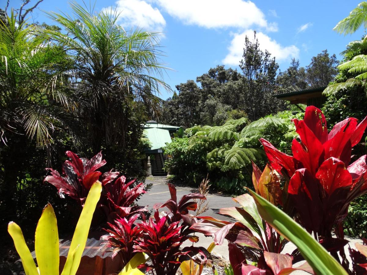 Villa Chalet Kilauea à Volcano Extérieur photo